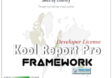 KoolReport Pro Developer License